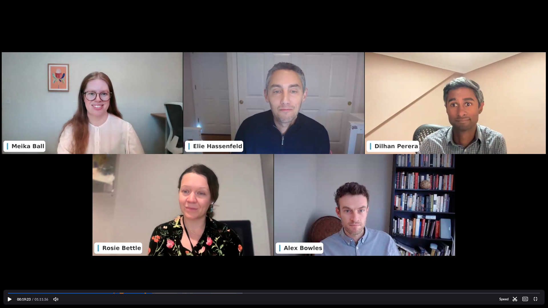 Screenshot of Zoom webinar with panelists